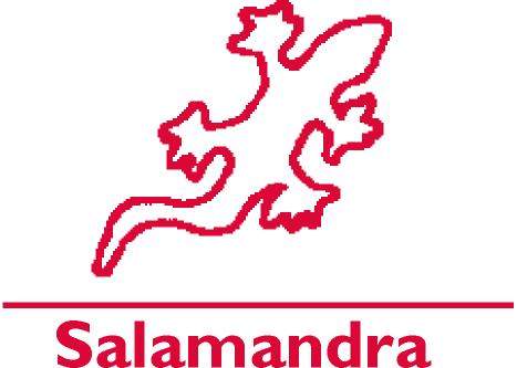 www.salamandrastainless.com